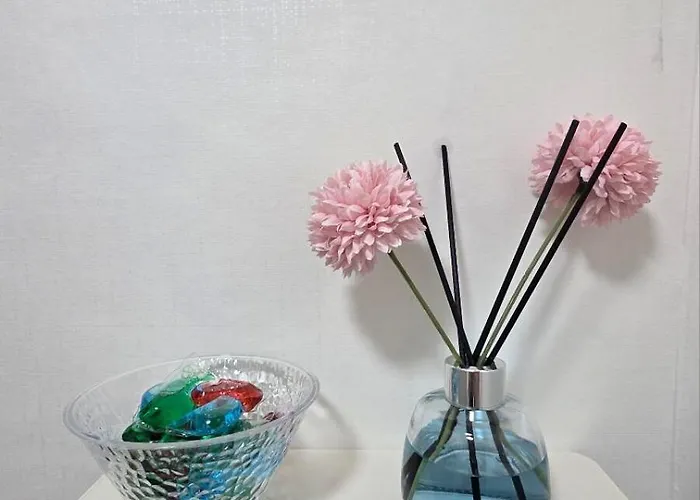 New Open! In Grace Hanna Stay, Seoul, Shillim Station 2mins, Airport Bus 2mins, Gangnam Hongik Unv' 20mins