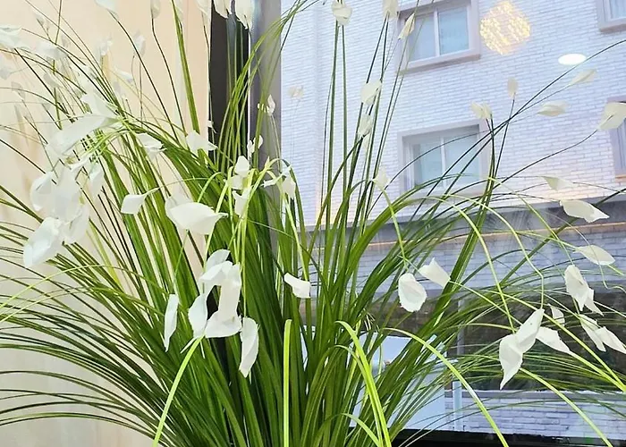 New Open! In Grace Hanna Stay, Seoul, Shillim Station 2mins, Airport Bus 2mins, Gangnam Hongik Unv' 20mins